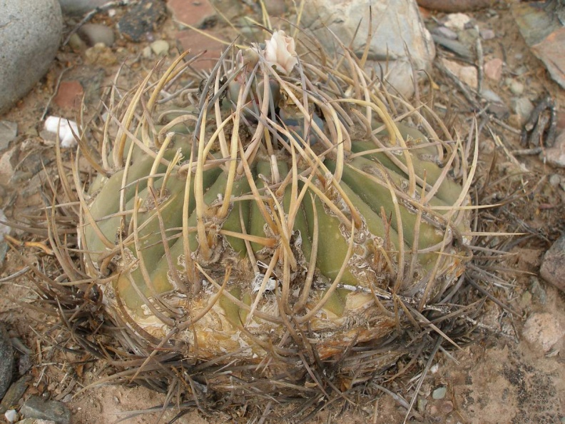 P1015980