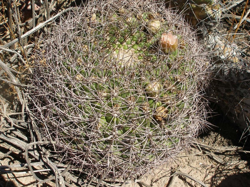 P1016085