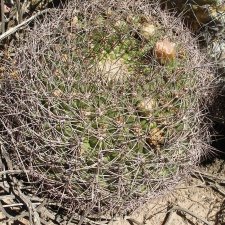P1016085