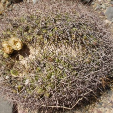 P1016087