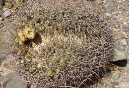 P1016087