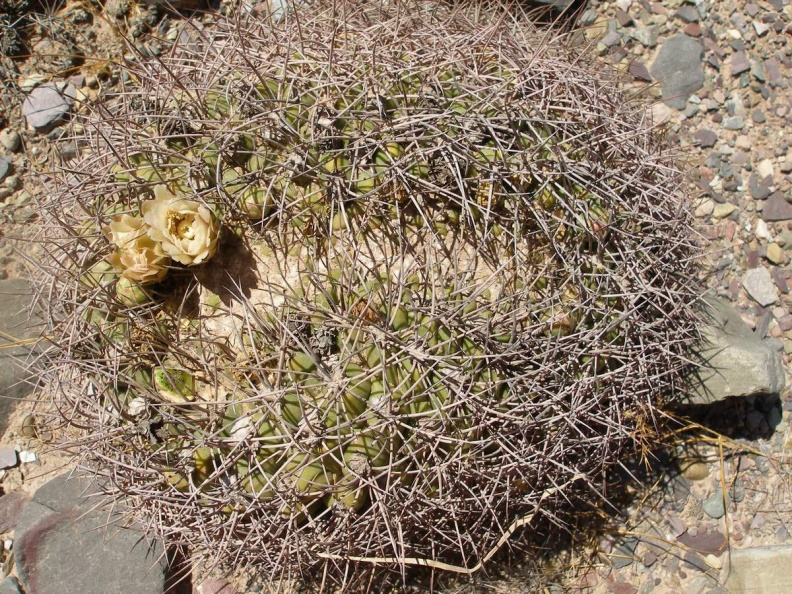 P1016087