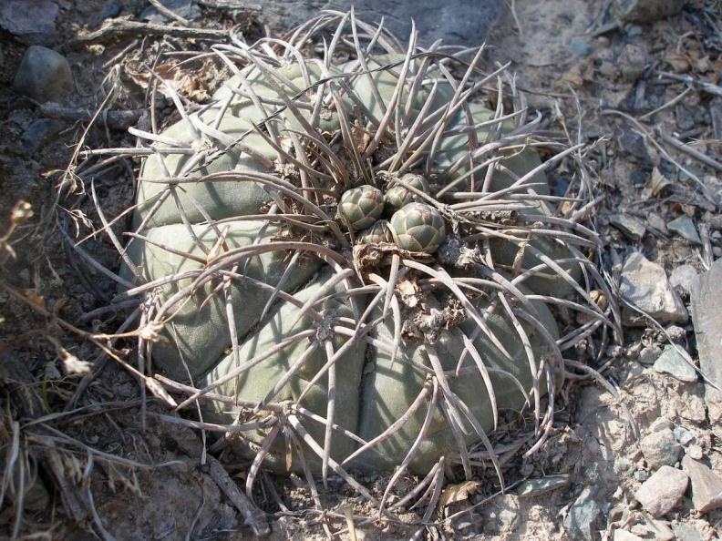 P1016114