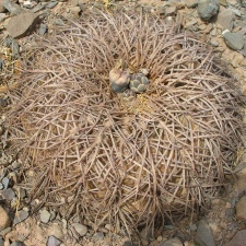 P1016121
