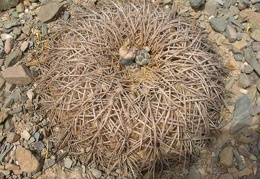 P1016121