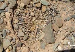 P1016124