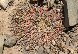 P1016125