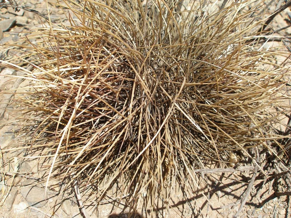 P1016126