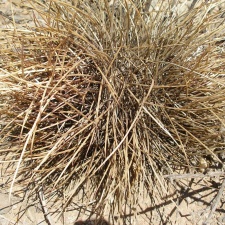 P1016126