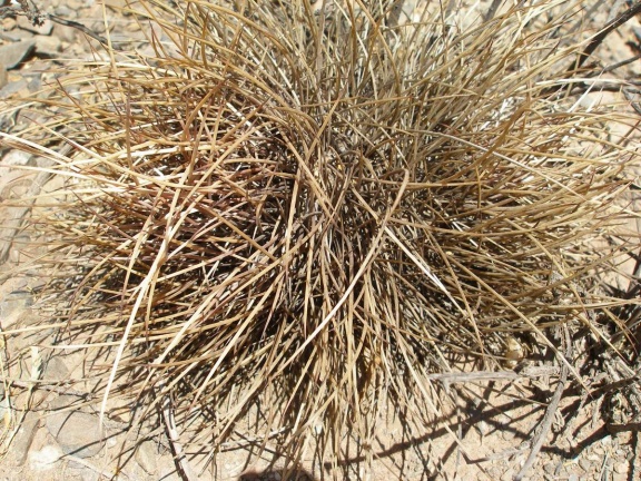 P1016126