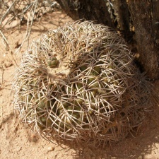 P1016181