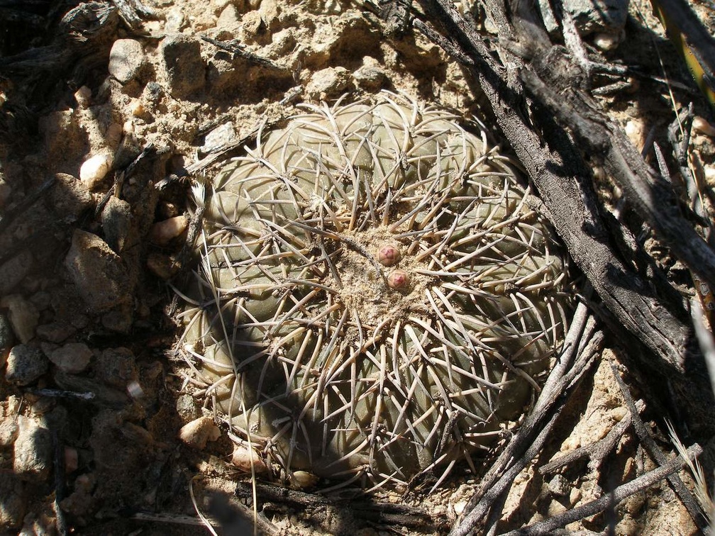P1016195