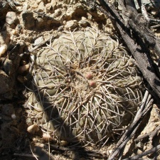 P1016195