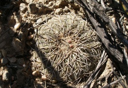 P1016195