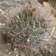 P1016229