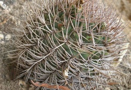 P1016229