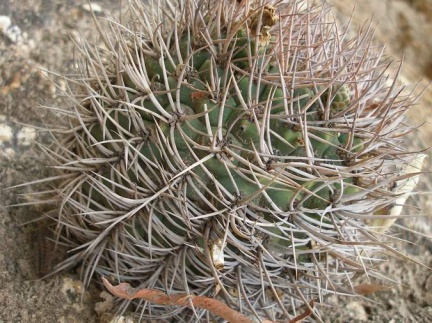 P1016229