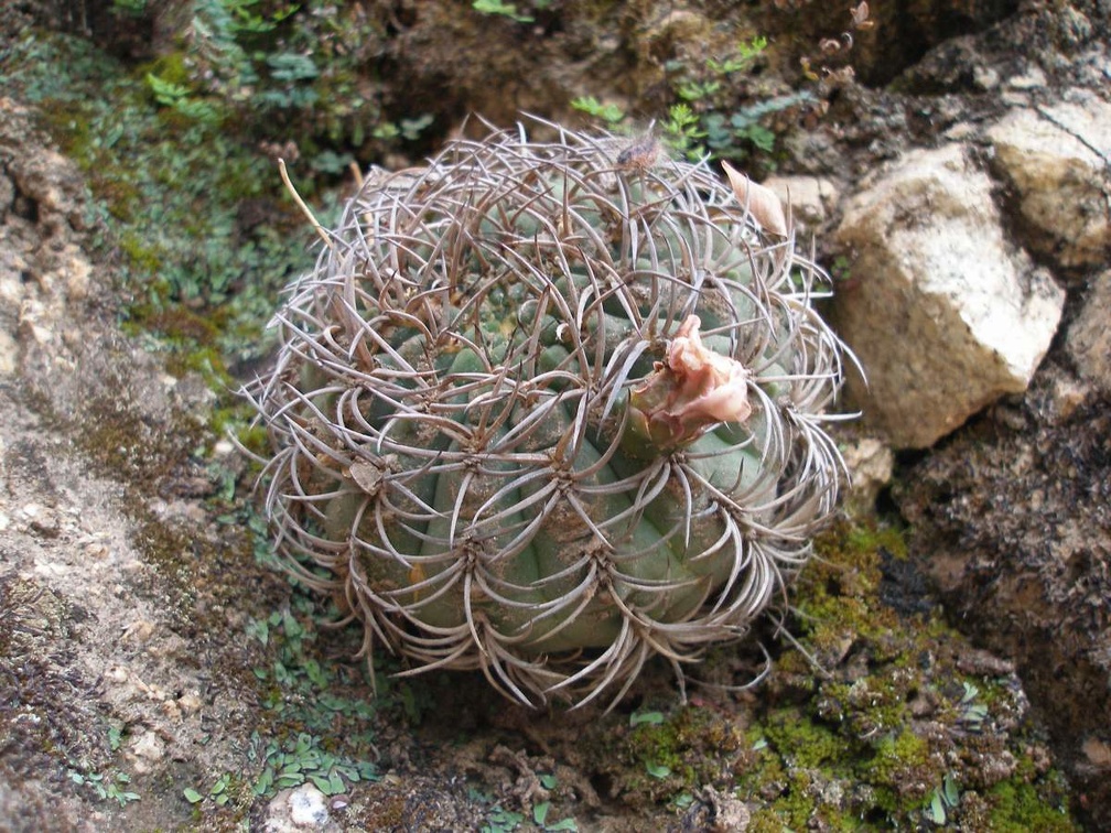 P1016230