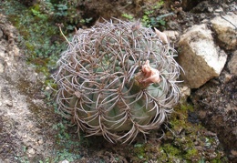 P1016230