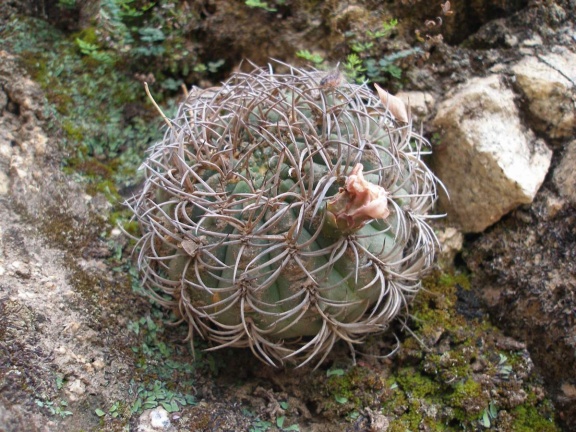 P1016230