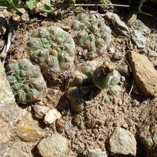P1016235