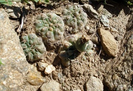 P1016235