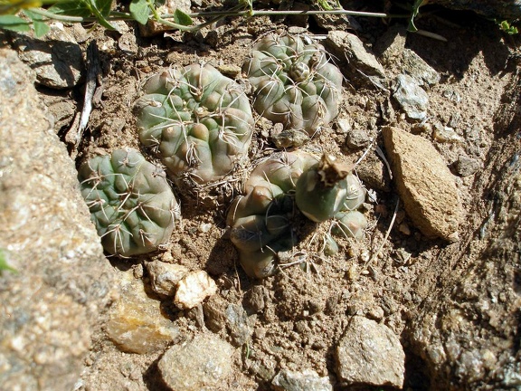 P1016235