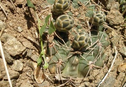 P1016236