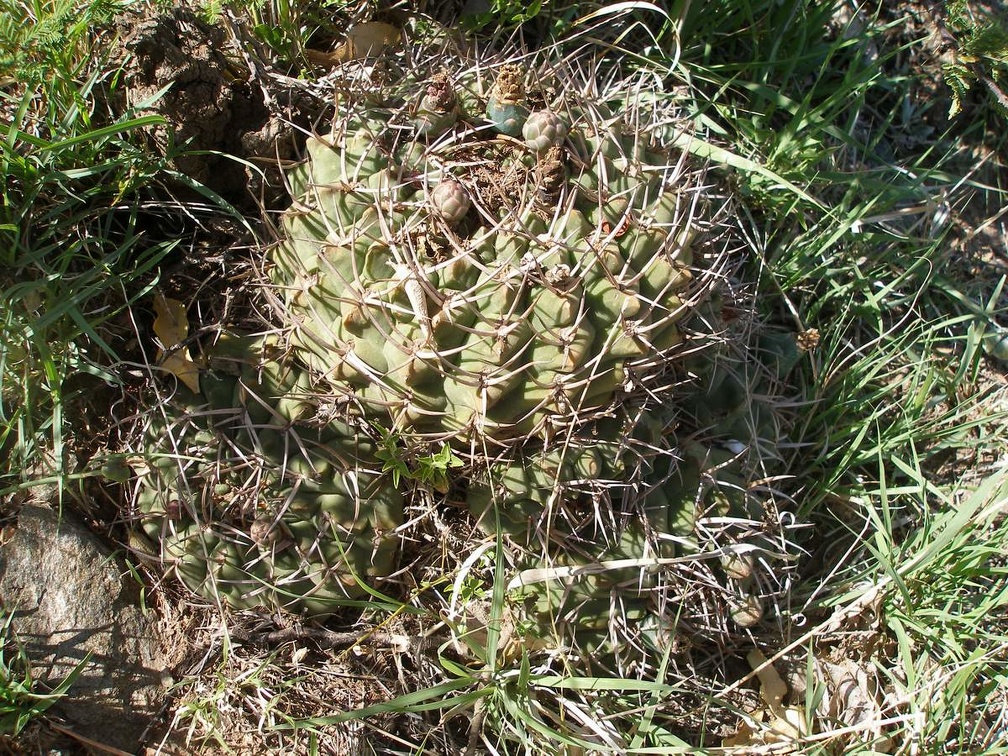 P1016242