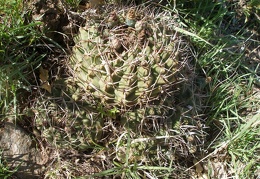 P1016242