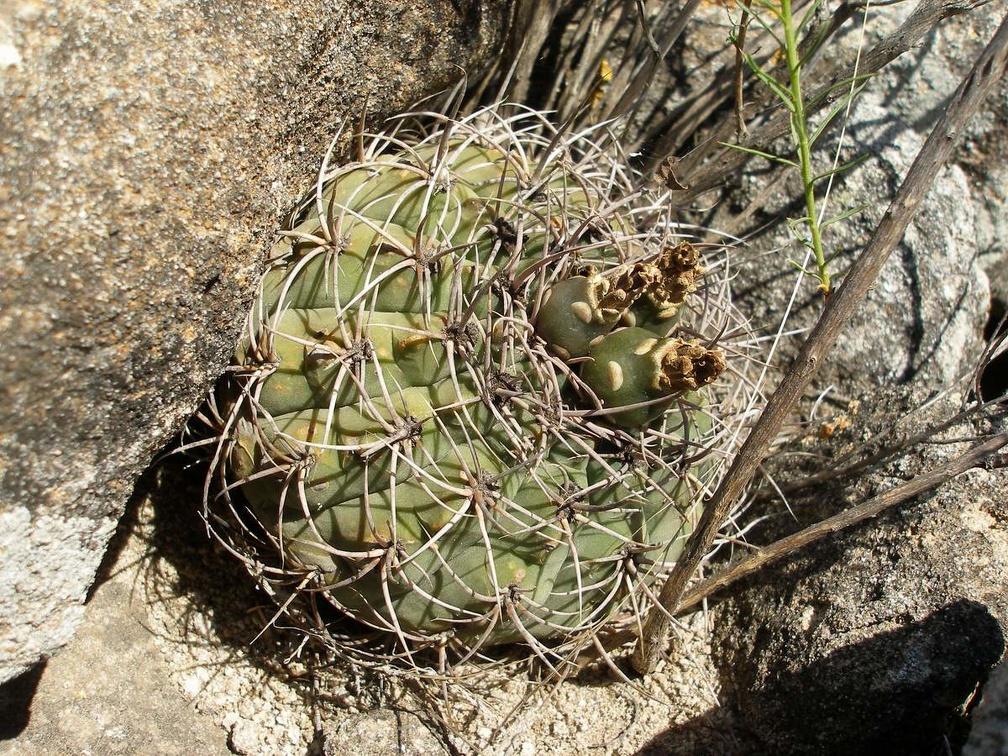 P1016255