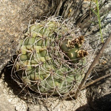 P1016255