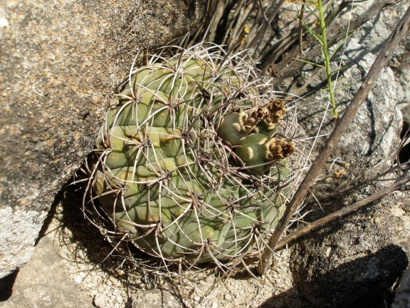 P1016255