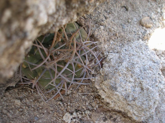P1016256