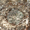 P1016257