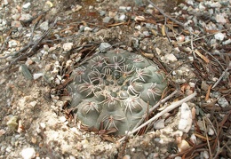 P1016257