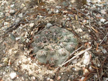 P1016257