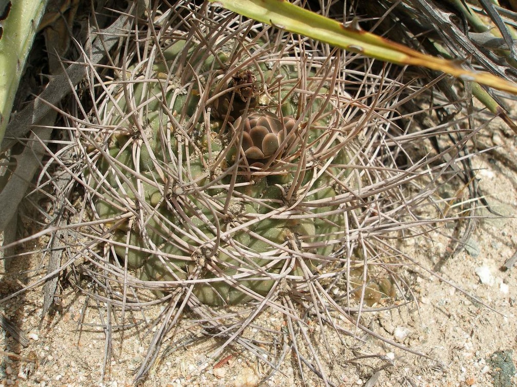 P1016261