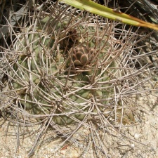 P1016261