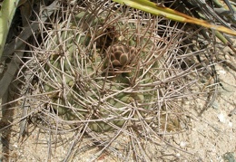 P1016261