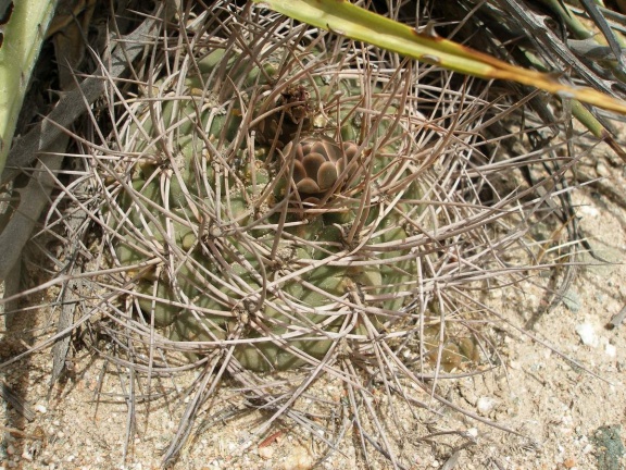 P1016261