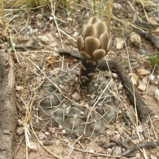 P1016295