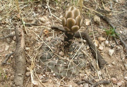 P1016295