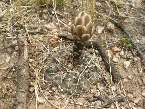 P1016295