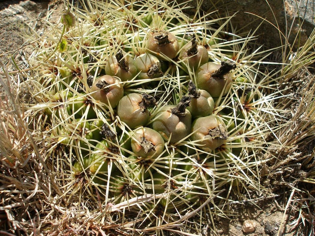 P1016371