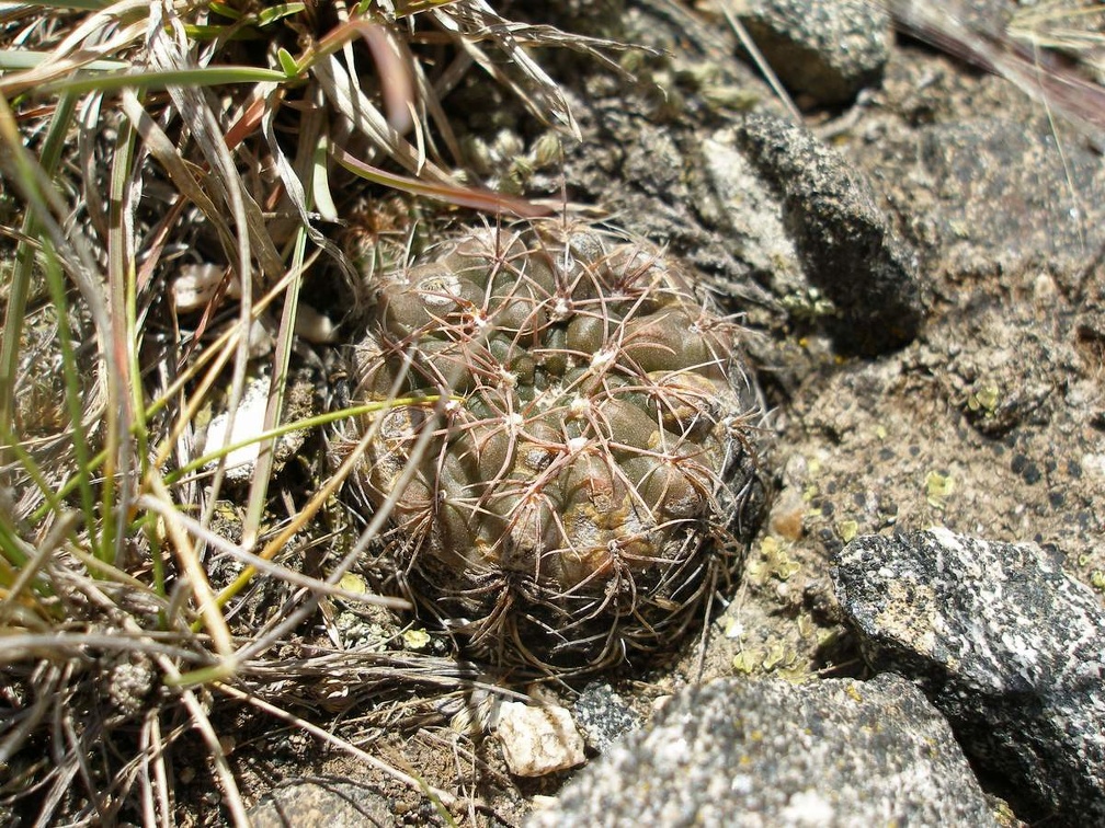 P1016373