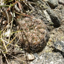 P1016373