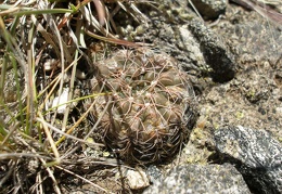 P1016373