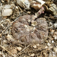 P1016378