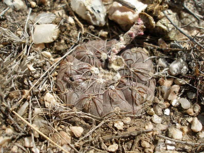 P1016378